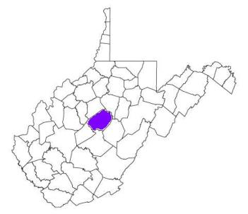 braxton county west virginia fire, fire departments in braxton county, braxton county wv fire stations, volunteer fire department, braxton county west virginia, braxton fire station numbers, braxton county fire jobs, braxton county live dispatch, braxton county fire departments, braxton county ems, braxton county ambulance, braxton county west virginia firefighters