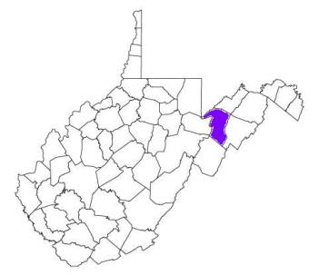 grant county west virginia fire, fire departments in grant county, grant county wv fire stations, volunteer fire department, grant county west virginia, grant fire station numbers, grant county fire jobs, grant county live dispatch, grant county fire departments, grant county ems, grant county ambulance, grant county west virginia firefighters