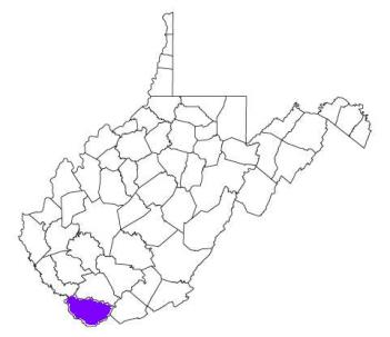 mcdowell county west virginia fire, fire departments in mcdowell county, mcdowell county wv fire stations, volunteer fire department, mcdowell county west virginia, mcdowell fire station numbers, mcdowell county fire jobs, mcdowell county live dispatch, mcdowell county fire departments, mcdowell county ems, mcdowell county ambulance, mcdowell county west virginia firefighters