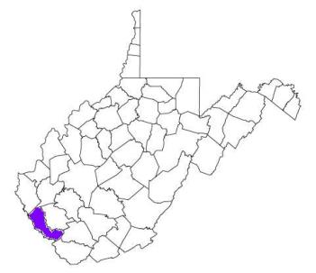 mingo county west virginia fire, fire departments in mingo county, mingo county wv fire stations, volunteer fire department, mingo county west virginia, mingo fire station numbers, mingo county fire jobs, mingo county live dispatch, mingo county fire departments, mingo county ems, mingo county ambulance, mingo county west virginia firefighters